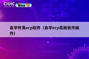 自学开发erp软件（自学erp系统软件操作）