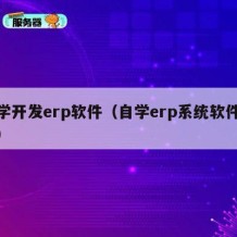 自学开发erp软件（自学erp系统软件操作）