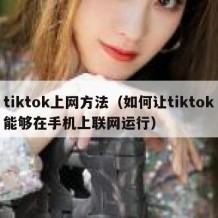 tiktok上网方法（如何让tiktok能够在手机上联网运行）