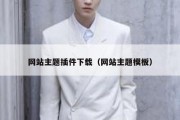 网站主题插件下载（网站主题模板）