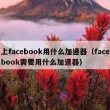 上facebook用什么加速器（facebook需要用什么加速器）