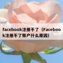 facebook注册不了（Facebook注册不了账户什么原因）