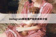 instagram移除僵尸粉的简单介绍