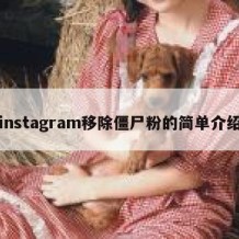 instagram移除僵尸粉的简单介绍