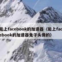 能上facebook的加速器（能上facebook的加速器兔子头像的）