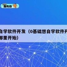 如何自学软件开发（0基础想自学软件开发应该从哪里开始）
