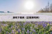 源码下载网（正版源码网）