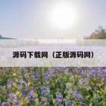 源码下载网（正版源码网）