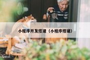 小程序开发搭建（小程序搭建）