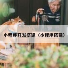 小程序开发搭建（小程序搭建）