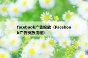 facebook广告投放（Facebook广告投放流程）