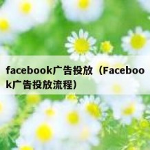 facebook广告投放（Facebook广告投放流程）