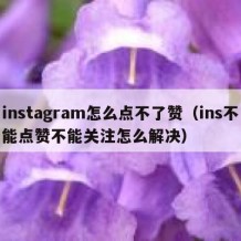 instagram怎么点不了赞（ins不能点赞不能关注怎么解决）