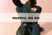 网站搭建平台（网站 搭建）
