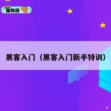黑客入门（黑客入门新手特训）