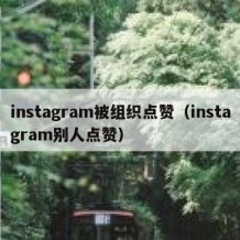 instagram被组织点赞（instagram别人点赞）