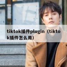 tiktok插件plugin（tiktok插件怎么用）