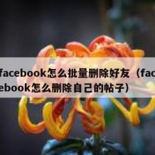 facebook怎么批量删除好友（facebook怎么删除自己的帖子）