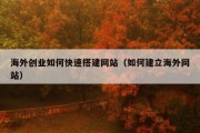 海外创业如何快速搭建网站（如何建立海外网站）