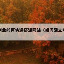 海外创业如何快速搭建网站（如何建立海外网站）