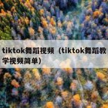 tiktok舞蹈视频（tiktok舞蹈教学视频简单）