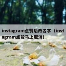 instagram点赞后改名字（instagram点赞马上取消）