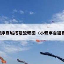 小程序商城搭建流程图（小程序自建商城）