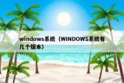 windows系统（WINDOWS系统有几个版本）