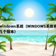 windows系统（WINDOWS系统有几个版本）