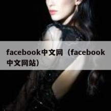 facebook中文网（facebook中文网站）