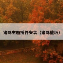 猪咪主题插件安装（猪咪壁纸）