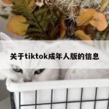 关于tiktok成年人版的信息