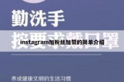 instagram加粉丝加赞的简单介绍