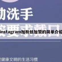 instagram加粉丝加赞的简单介绍