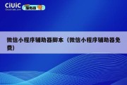 微信小程序辅助器脚本（微信小程序辅助器免费）