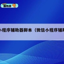 微信小程序辅助器脚本（微信小程序辅助器免费）