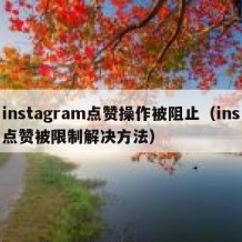 instagram点赞操作被阻止（ins点赞被限制解决方法）