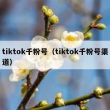 tiktok千粉号（tiktok千粉号渠道）