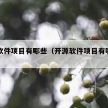 开源软件项目有哪些（开源软件项目有哪些内容）