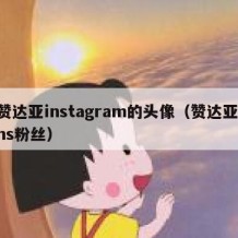 赞达亚instagram的头像（赞达亚ins粉丝）