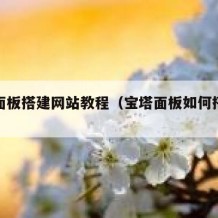 宝塔面板搭建网站教程（宝塔面板如何搭建网站）