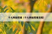 个人网站搭建（个人网站搭建流程）