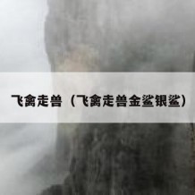 飞禽走兽（飞禽走兽金鲨银鲨）