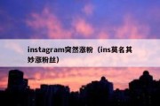 instagram突然涨粉（ins莫名其妙涨粉丝）