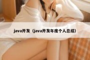 java开发（java开发年度个人总结）