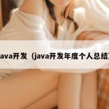 java开发（java开发年度个人总结）