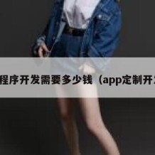 小程序开发需要多少钱（app定制开发）