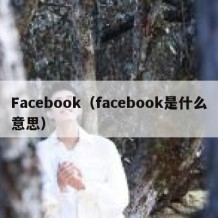 Facebook（facebook是什么意思）