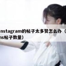 instagram的帖子太多赞怎么办（ins帖子数量）