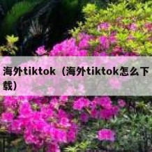 海外tiktok（海外tiktok怎么下载）